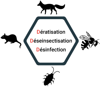 Picto explicant l'activité de la société 3D Protection : Dératisation, désinsectisation, désinfection.